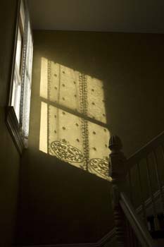 WilderWindow2